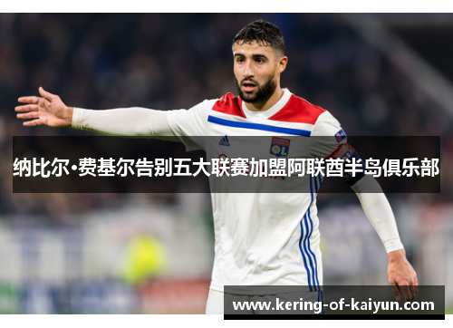 纳比尔·费基尔告别五大联赛加盟阿联酋半岛俱乐部 纳比尔·费基尔告别五大联赛加盟阿联酋半岛俱乐部