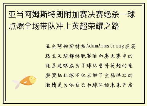 亚当阿姆斯特朗附加赛决赛绝杀一球点燃全场带队冲上英超荣耀之路